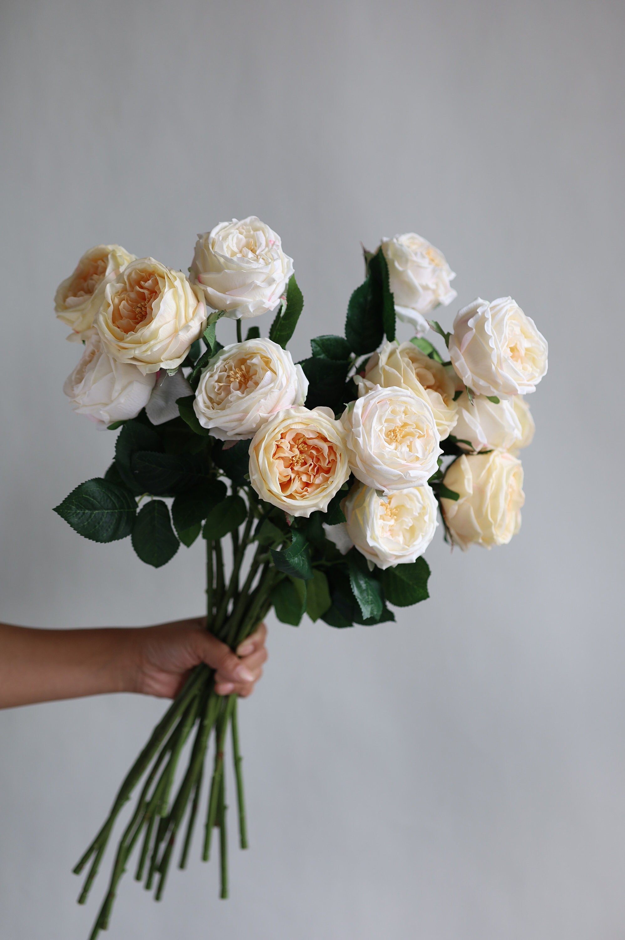 Unique Cabage Roses 24” Faux Real Touch English Cabbage Roses-ivory, Extremly Realistic ...