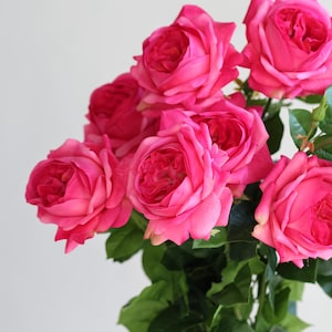 May include: A bouquet of hot pink roses with green leaves.