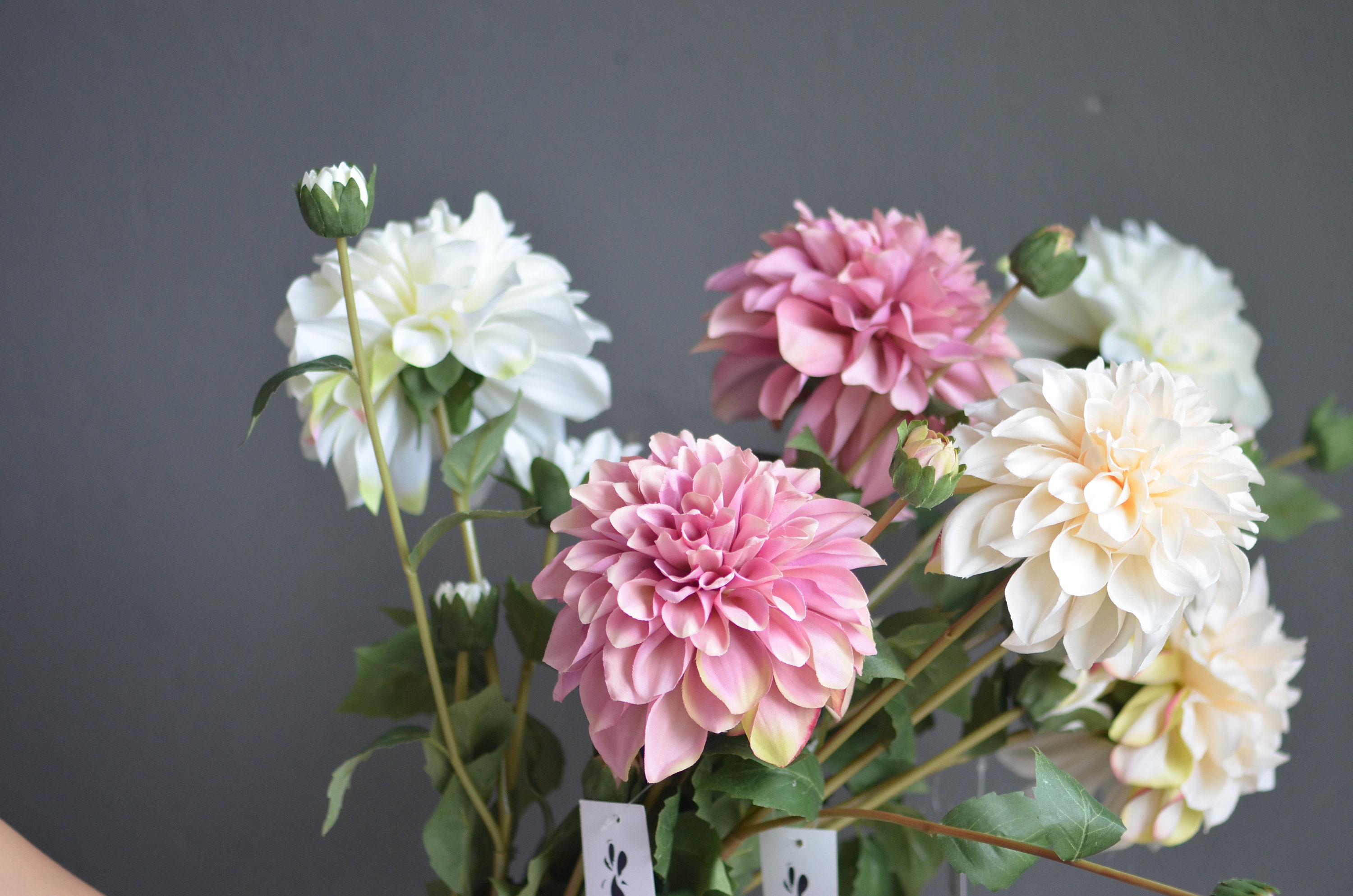 Dust Pink Ivory Faux Dahlia White Dahlia Flowers Gradient Etsy