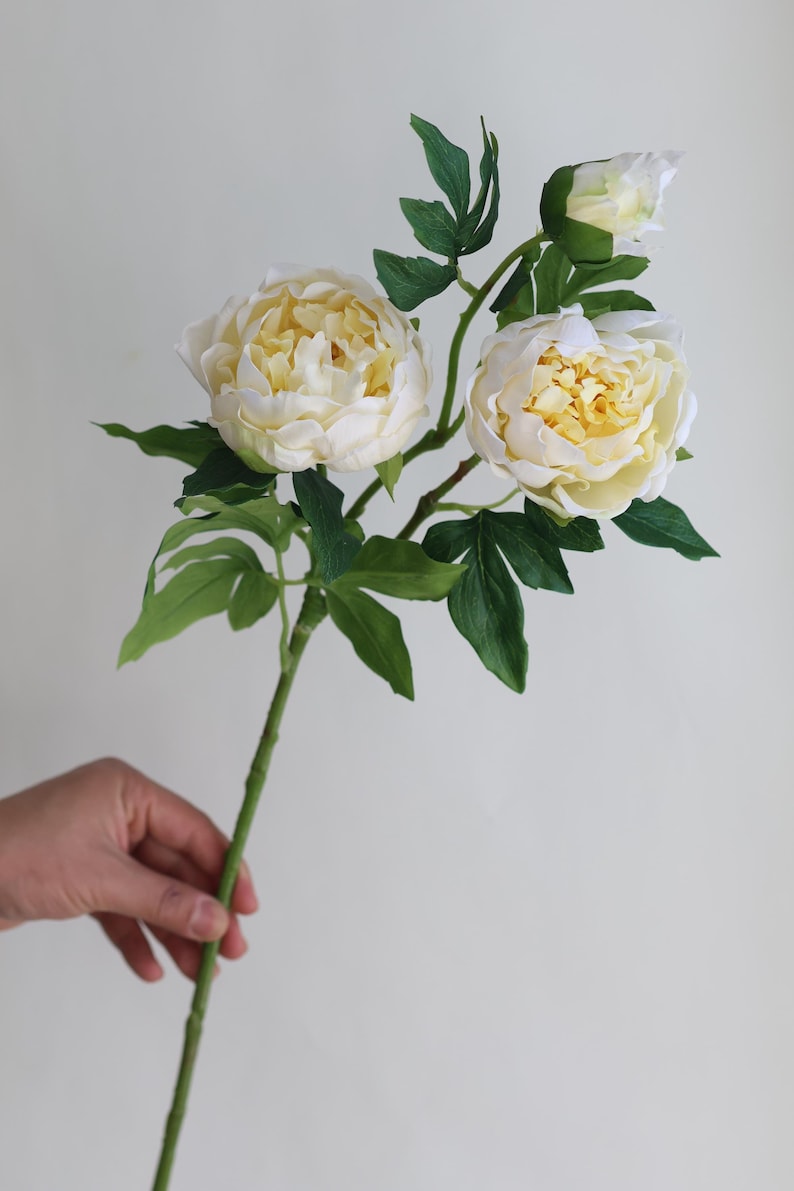 Pu&ograve; includere: Un bouquet di tre peonie artificiali bianche con centri gialli. Le peonie sono su uno stelo verde con foglie.