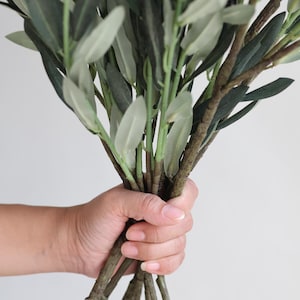 May include: A bunch of olive branches with green leaves and brown stems held in a hand.