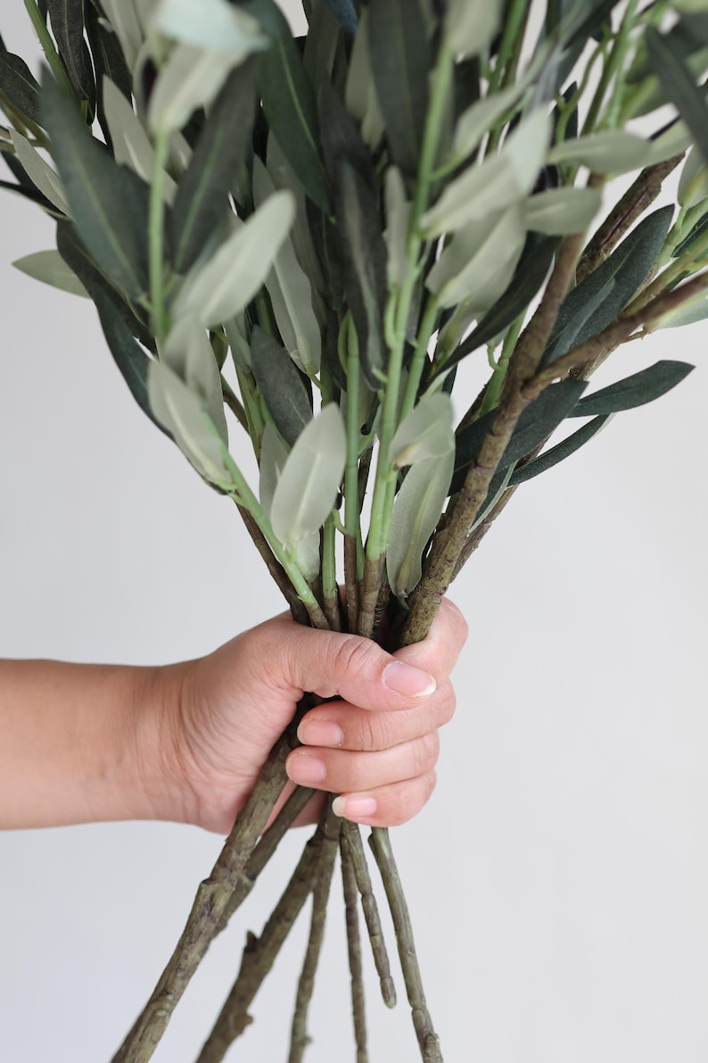 May include: A bunch of olive branches with green leaves and brown stems held in a hand.