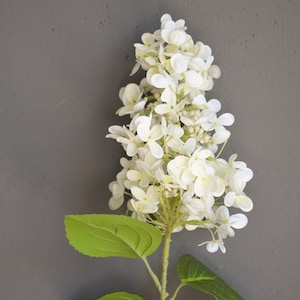 27.5" Real Touch Faux Panicle Hydrangea Stem, High Quality Artificial Flower | DIY Florals Supply | Wedding/Home/Kitchen Decoration | Gifts