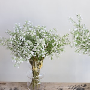 Op de afbeelding: Twee boeketten witte baby's breath bloemen in heldere glazen vazen. De vazen staan op een houten oppervlak.