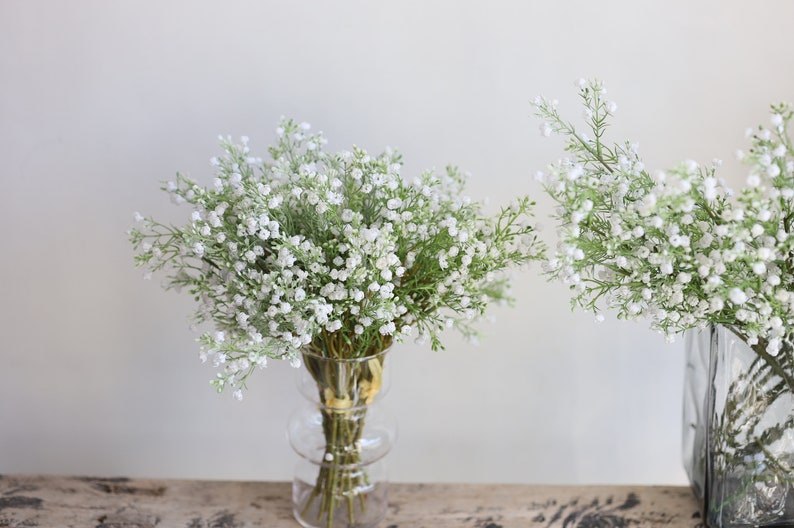 Op de afbeelding: Twee boeketten witte baby's breath bloemen in heldere glazen vazen. De vazen staan op een houten oppervlak.