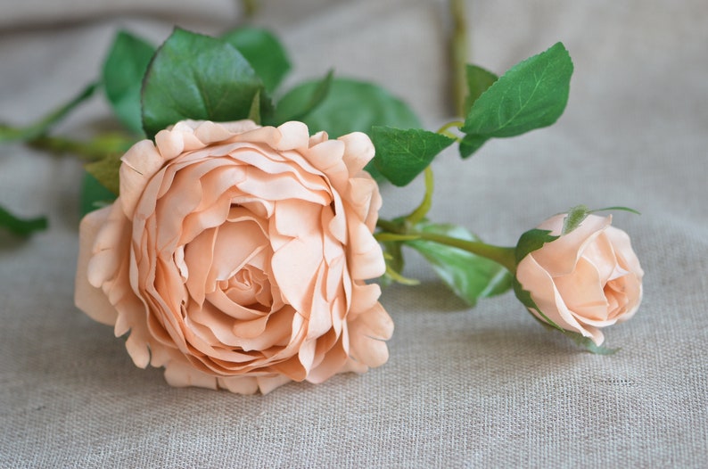 Dusty Pink Peony Rose Rust Peach Real Touch Rose Peony Fall - Etsy