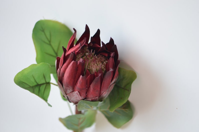 Dark Burgundy King Protea Silk Artificial Burgundy Protea