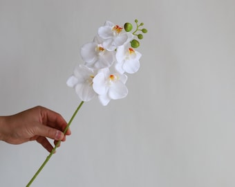 17.7“ White Faux Real Touch Phalaenopsis Orchid, Spring Plant Stem, DIY Centerpieces/Florals/Office/Wedding/Home Decorations | Gifts For Mum