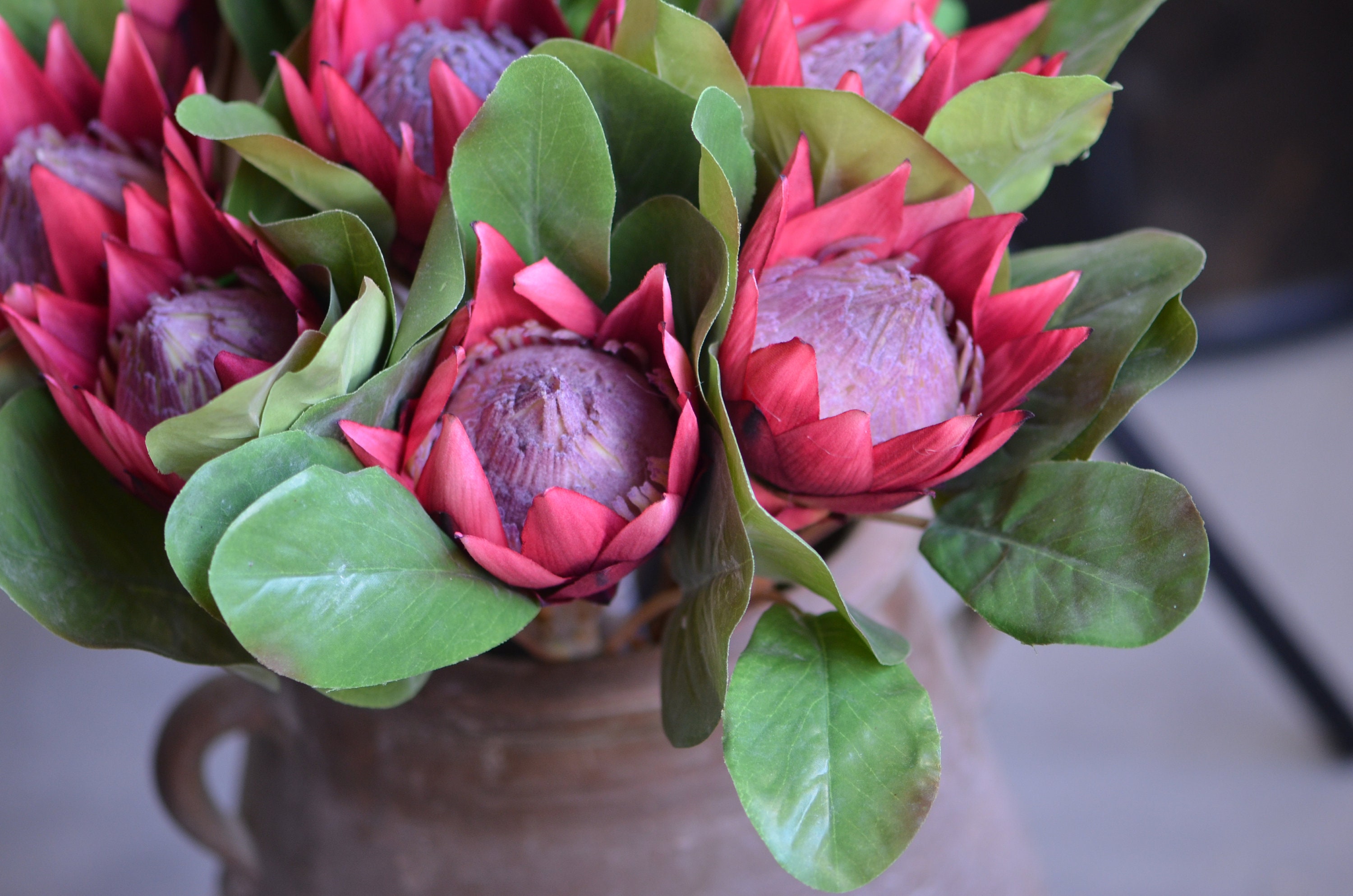 King Protea Flowers Silk Artificial Burgundy Protea