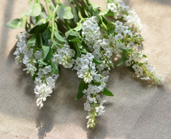 Seda Blanca Lavanda Pequeñas Flores Blancas Arreglo Floral - Etsy España Seda Blanca Lavanda Pequeñas Flores Blancas Arreglo Floral - Etsy España