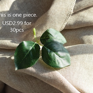 May include: Two green leaves on a beige fabric background. The text "This is one piece. USD2.99 for 30pcs" is visible in the image.