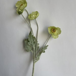 May include: A bouquet of four green silk poppy flowers with fuzzy green leaves and stems.