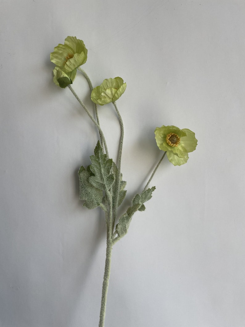 May include: A bouquet of four green silk poppy flowers with fuzzy green leaves and stems.