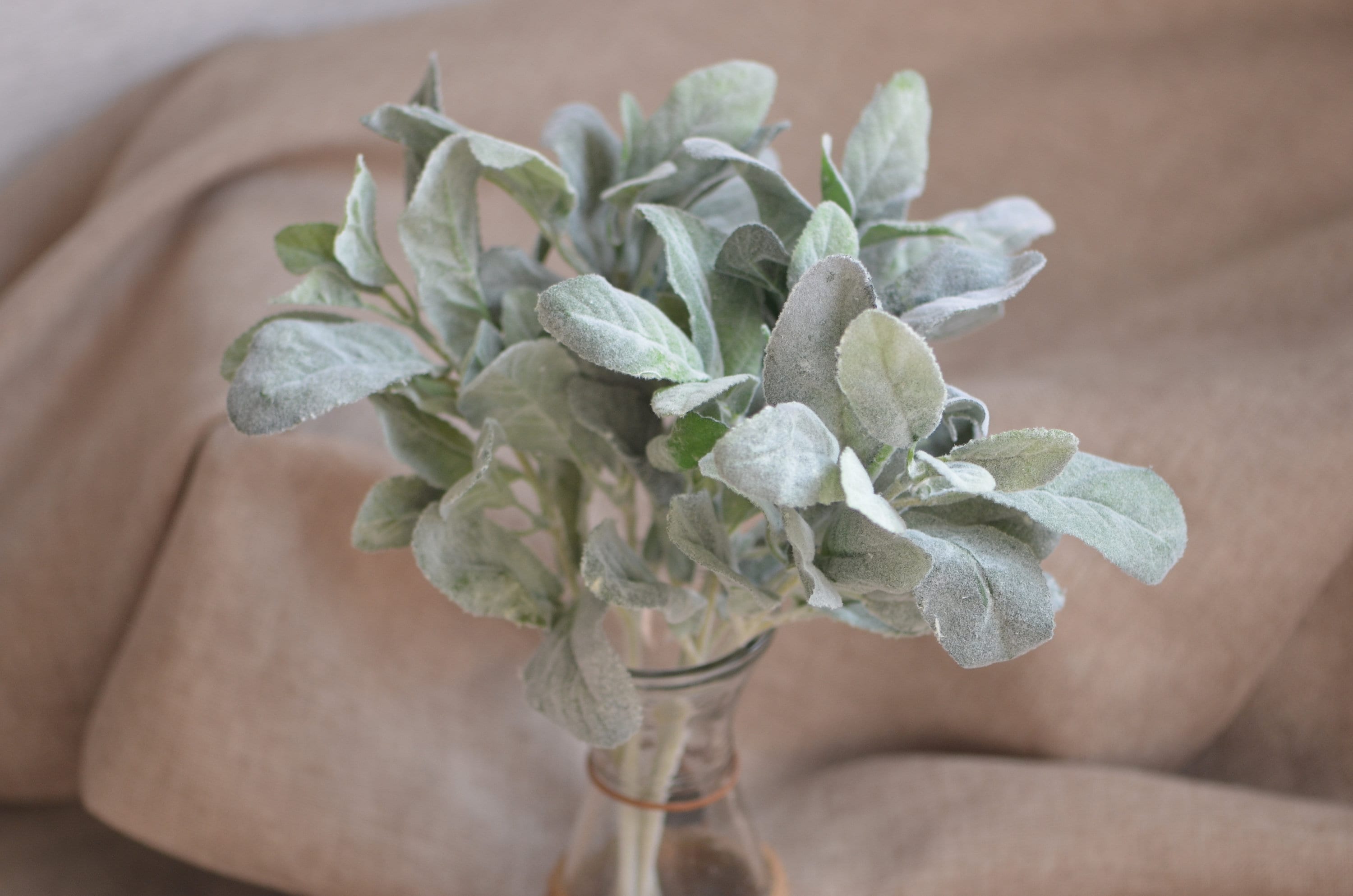 Lambs Ear Flocked Leaves Artificial Greenery Dusty Miller Etsy