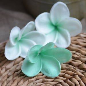 Peut inclure: Trois fleurs de frangipanier blanches et vertes disposées sur une surface en osier tressé. Les fleurs sont regroupées, les fleurs blanches en haut et la fleur verte en bas.