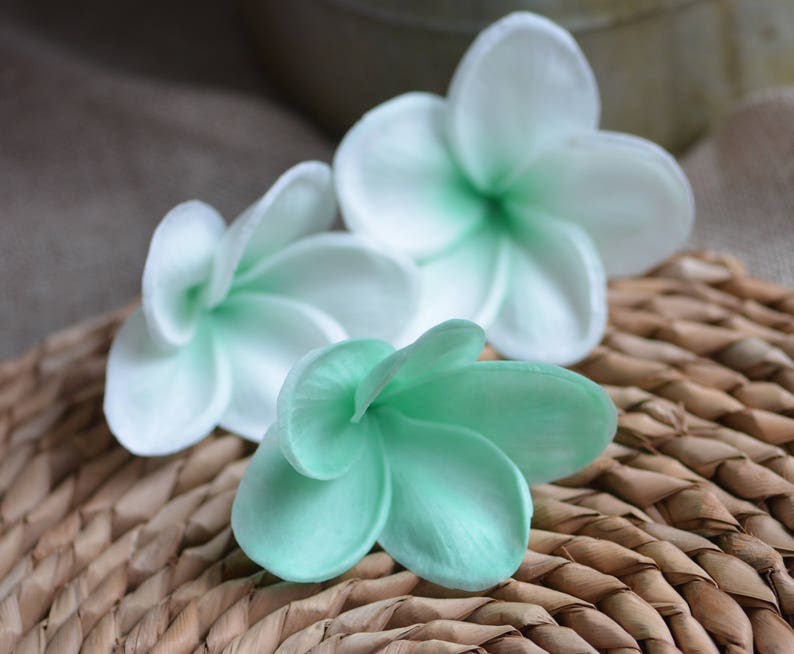 May include: Three white and green plumeria flowers on a woven wicker surface. The flowers are arranged in a cluster, with the white flowers on top and the green flower on the bottom.