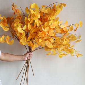 Puede incluir: Un ramo de hojas de ginkgo artificiales de color amarillo sobre tallos marrones. Las hojas están dispuestas en un ramo y las sostiene una mano.