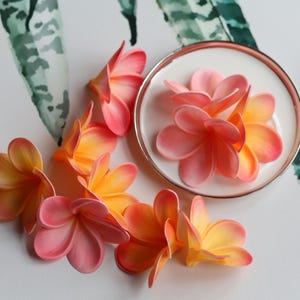 Light Coral Fake Frangipani Plumerias, Natural Real Touch Flowers. Flower heads. DIY Cake Decorations, DIY Hair Flowers