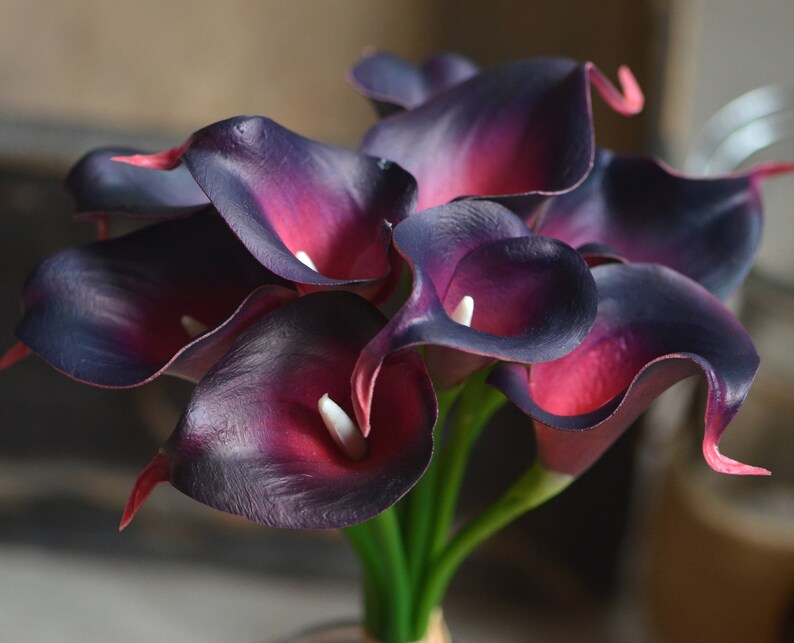 Dark Burgundy Purple Calla Lilies Real Touch Flowers DIY Silk Etsy UK