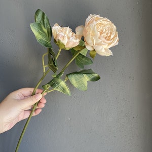 Vieux rose/café séché pivoine, pivoines artificielles de couleur d'automne, décoration de mariage/maison, cadeaux pour la maison, décoration d'intérieur faite à la main one-#2- chamgane