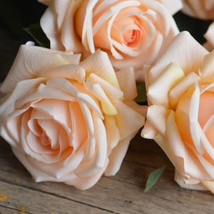 Chamagne Peach Real Touch Roses, Soft Yellow Garden Roses, Artificial Roses,  Artificial Roses, DIY Wedding Bouquets, Vintage Colors