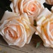 see more listings in the Real Touch Roses section