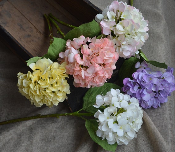 Echte Touch Hortensien Weiss Rosa Koralle Lila Seide Hortensien Etsy