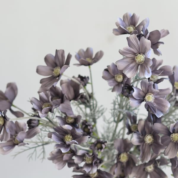 Gray Artificial Cosmos Flower Branch: 23.5" Faux Wildflower Stem