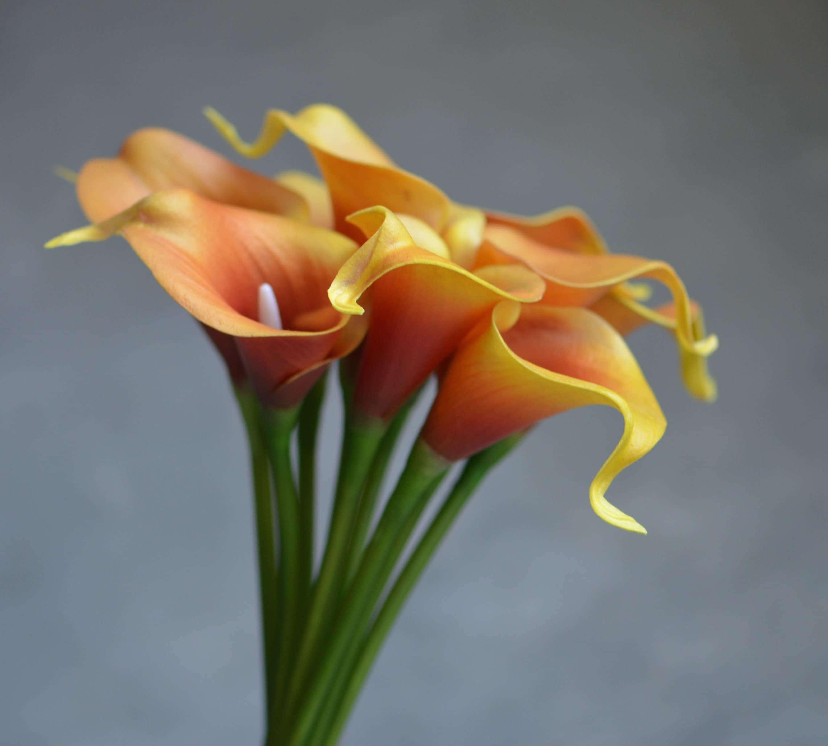 Autumn Burnt Orange Calla Lilies Rust Orange Real Touch Calla Etsy