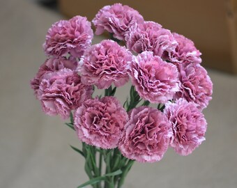 Purple Carnations, Real Touch Carnations DIY Florals | Wedding/Home Decoration | Gifts, DIY Bouquets/Centerpieces