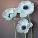 see more listings in the More Stem Flowers section