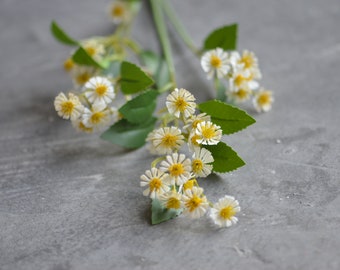 Piccoli fiori selvatici bianchi, finti fiori di camomilla gialla bianchi, piccoli fiori selvatici margherita comune, fiori selvatici autunnali primaverili