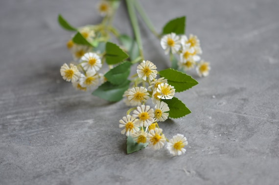 Piccoli fiori selvatici bianchi, finti fiori di camomilla gialla