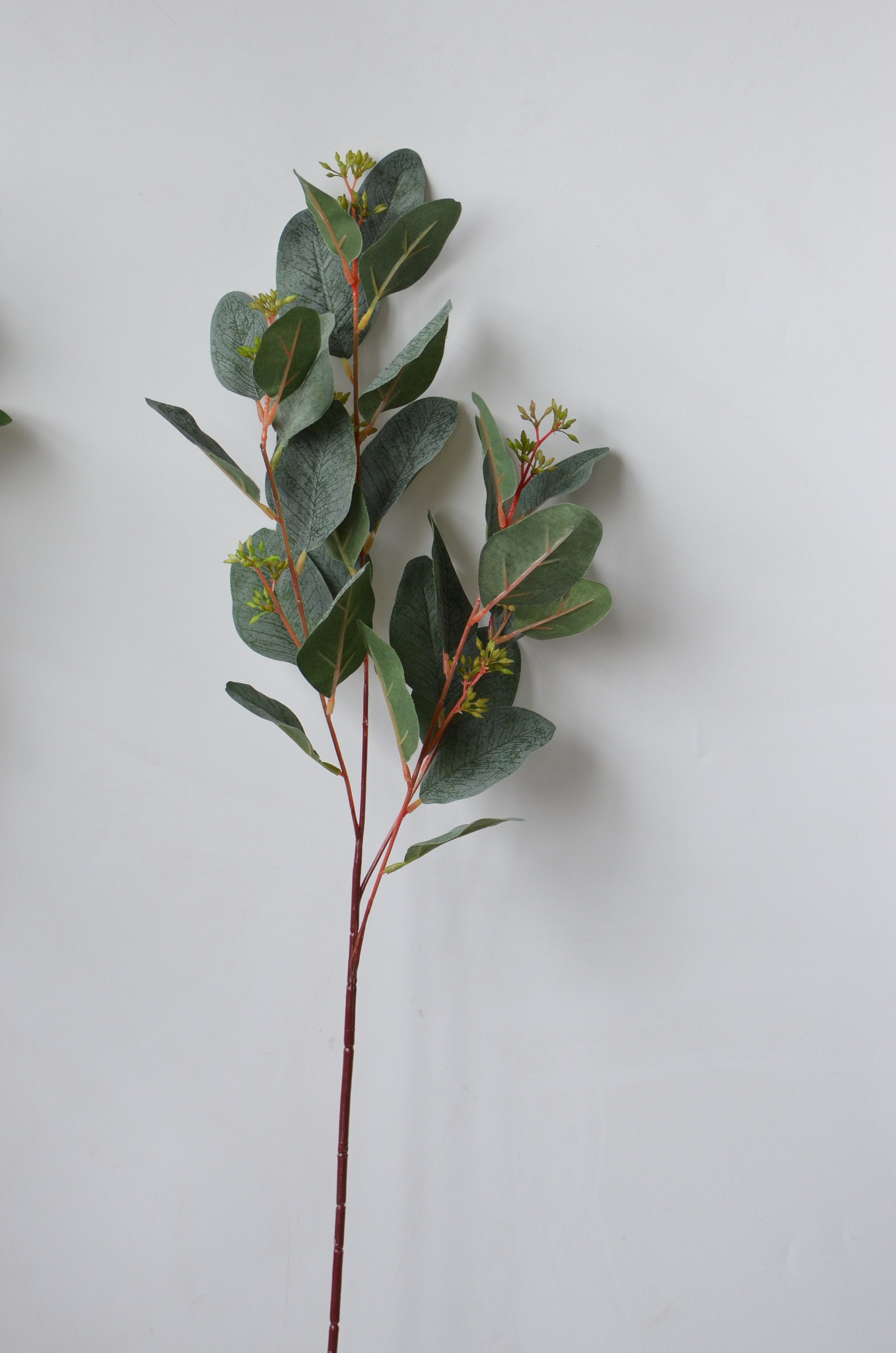 Dusty Green Seeded Eucalyptus Artificial Eucalyptus Leaves Greenery ...