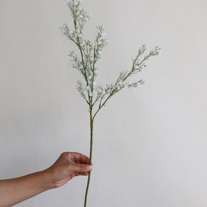 Op de afbeelding: Een enkele stengel witte baby's breath bloemen met groene stelen.