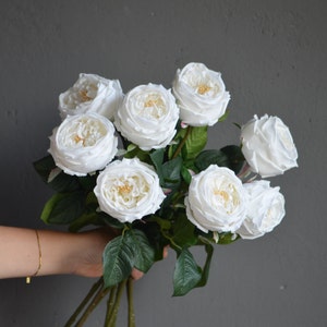 24&quot; White Austin Cabbage Real Touch Artificial Roses, DIY Florals Supply | Wedding/Home/Kitchen Decoration | Gifts, DIY Bouquets/Centerpiece