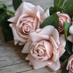 May include: A bouquet of blush pink roses with green leaves on a rustic wooden background.