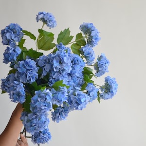 May include: A bouquet of blue hydrangeas with green leaves.