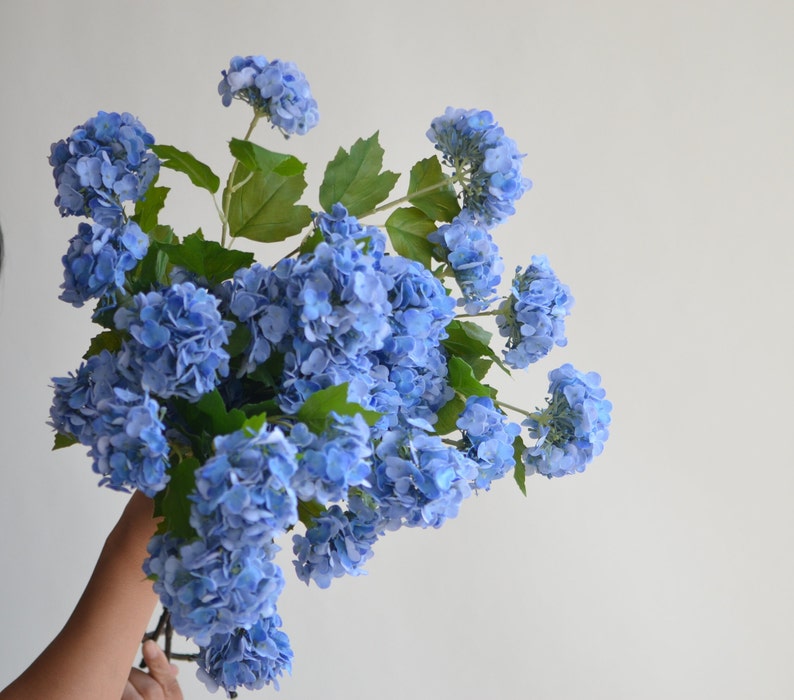 May include: A bouquet of blue hydrangeas with green leaves.