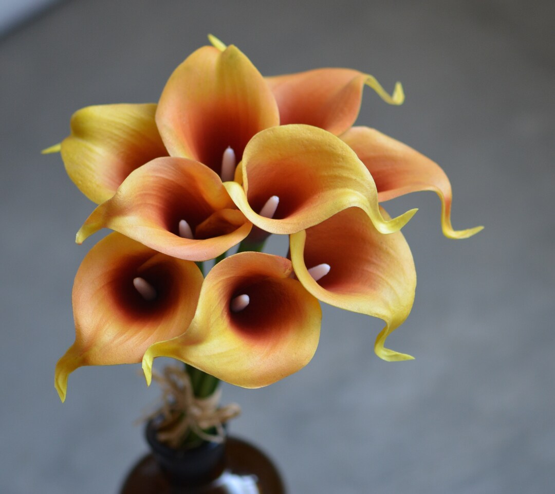 Autumn Burnt Orange Calla Lilies, Rust Orange Real Touch Calla