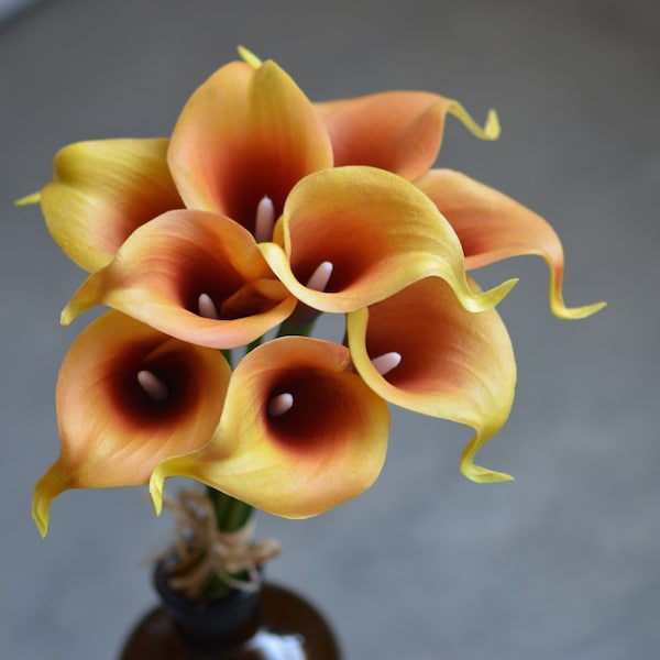 Autumn Burnt Orange Calla Lilies, Rust orange Real Touch Calla Lilies Orange Burgundy Picasso Callas DIY Wedding Bouquets