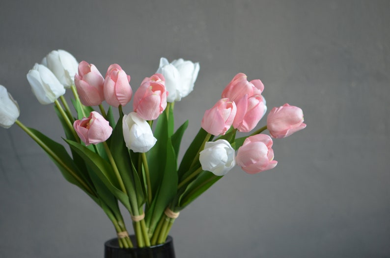 May include: A bouquet of pink and white tulips with green stems. The tulips are arranged in a vase.