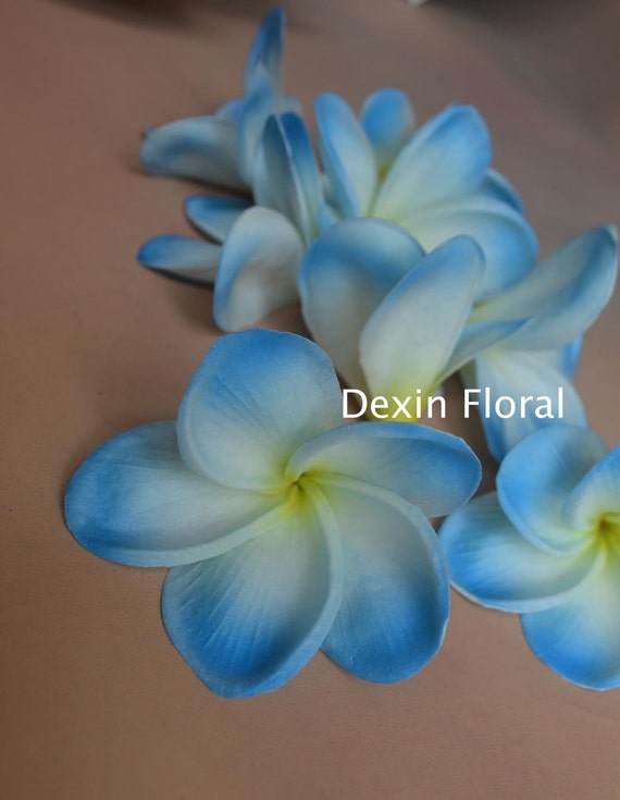 Blue frangipani Plumerias Natural Real Touch Flowers flower Etsy