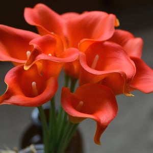 May include: A bouquet of orange calla lilies with a dark background.
