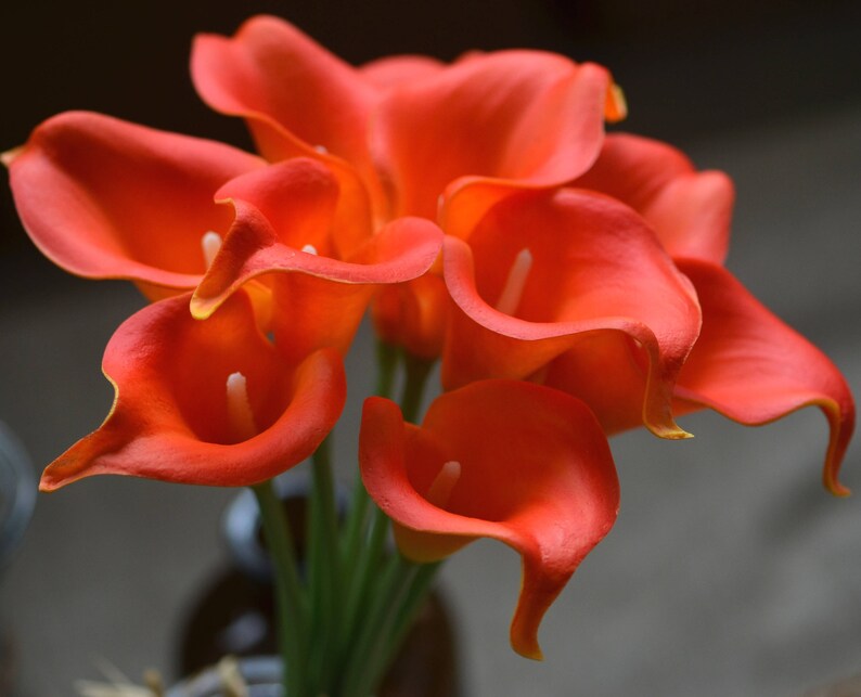 May include: A bouquet of orange calla lilies with a dark background.