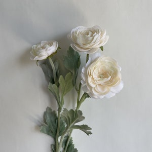 May include: A bouquet of three white ranunculus flowers with green leaves.