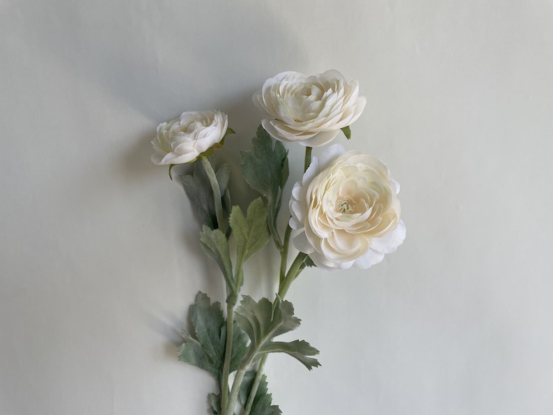 May include: A bouquet of three white ranunculus flowers with green leaves.