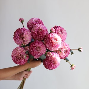 31.6&quot; Artificial Dahlia Blossom Branch-Fuchsia/Lavender, Faux Flower Stem, DIY Florals | Wedding/Home Decoration/Bouquet/Centerpiece | Gifts