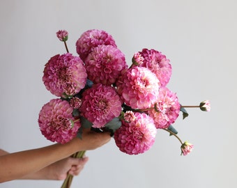 31.6" Artificial Dahlia Blossom Branch-Fuchsia/Lavender, Faux Flower Stem, DIY Florals | Wedding/Home Decoration/Bouquet/Centerpiece | Gifts