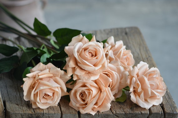 Morandi Pink Roses, Vintage Tan Beige Garden Roses, Real Touch Roses, Silk  Roses, DIY Floral Wedding/occasion/home Decoration Gifts -  Singapore